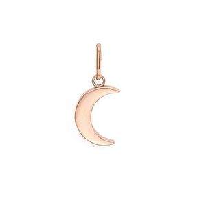NWT Alex & Ani Moon Charm